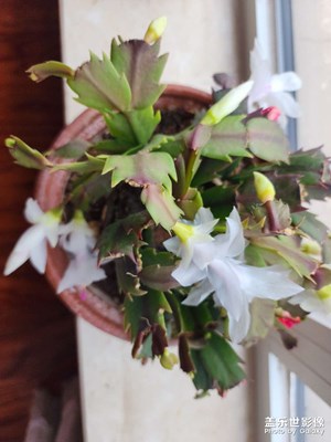 【多元化的世界】+我的視界