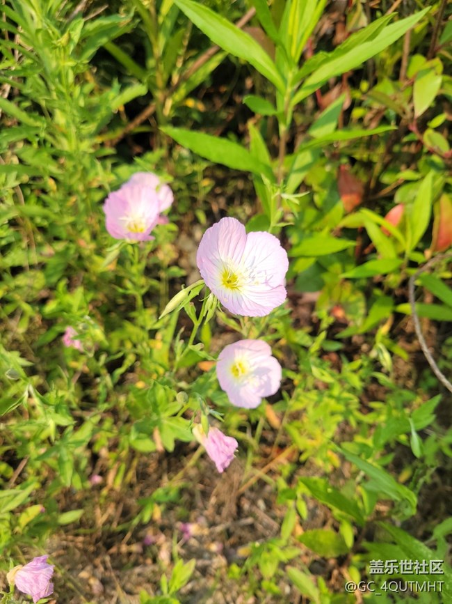 周末隨拍?。。?！