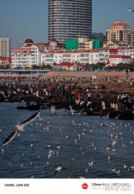 【多元化的世界】海