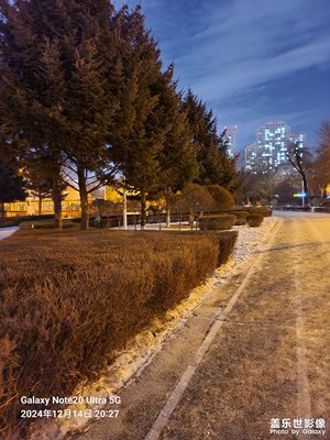 【多元化的世界】+晚上散步