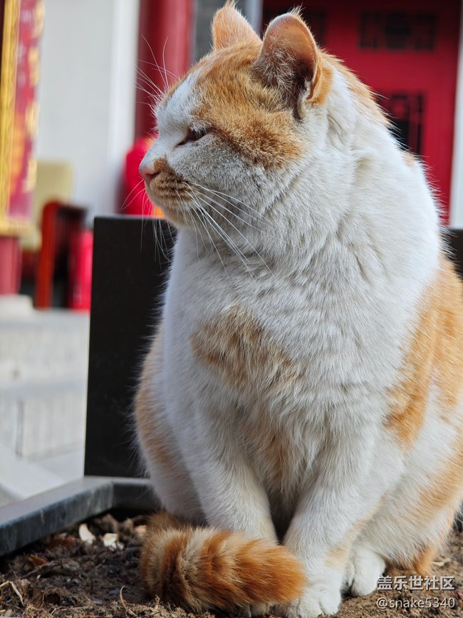 回顧-西塔，韓式風(fēng)情街