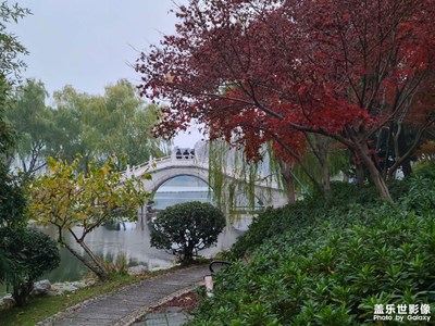 【多元化的世界】多姿多彩