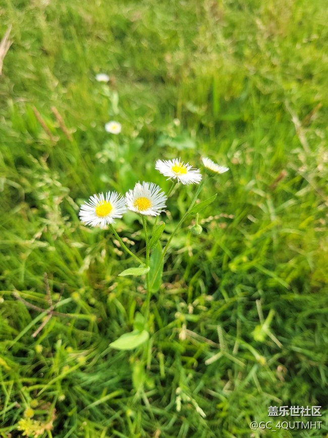 周末隨拍?。。?！