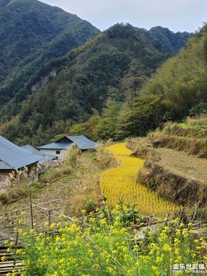 大山里的寧靜與美麗 Galaxy S23 Ultra