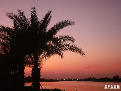 【多元化的世界】+黃昏剪影