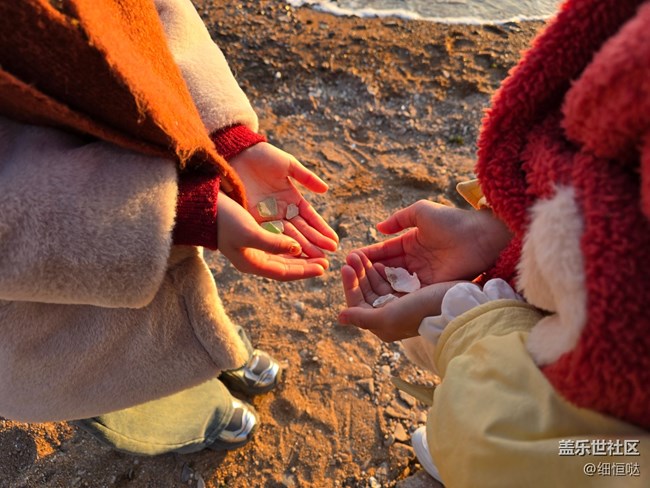 青島星部落Tab S10系列品鑒會回顧