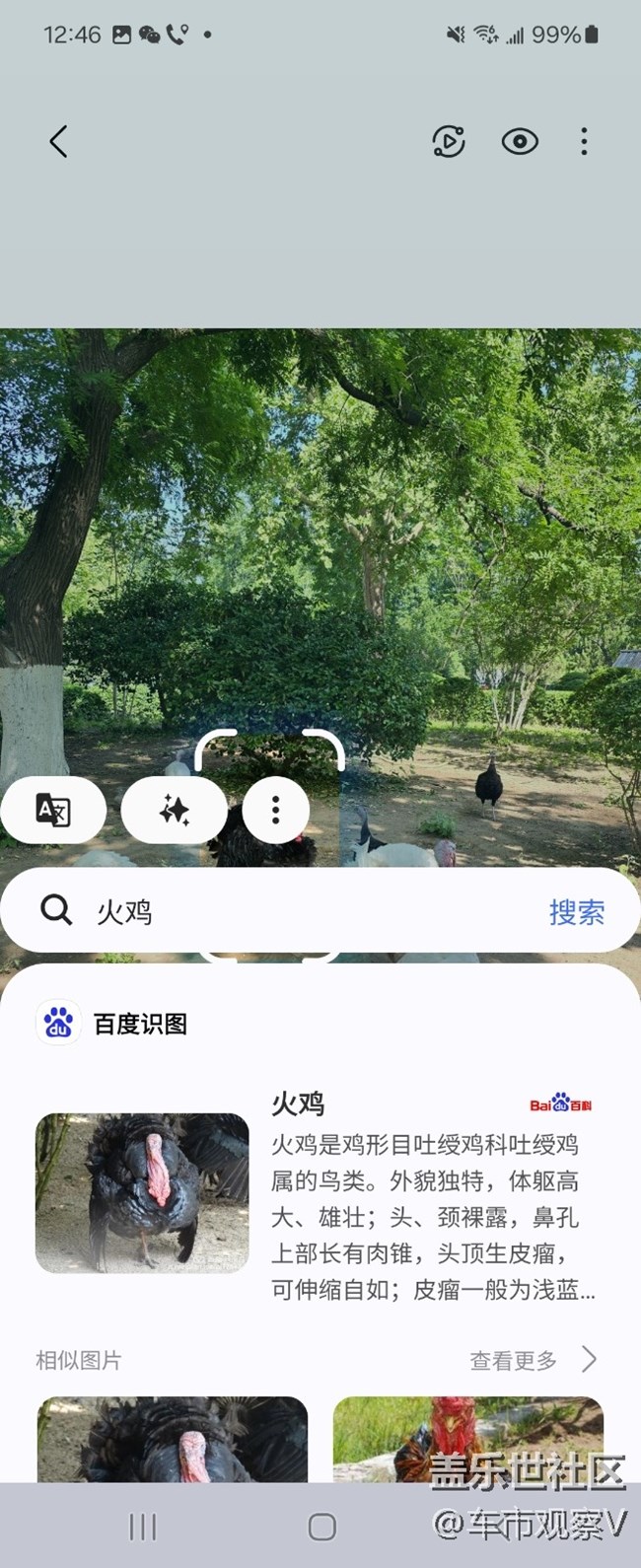 最近發(fā)現(xiàn)了三星手機(jī)的寶藏功能—即圈即搜，簡直是我的貼身小助手～?
