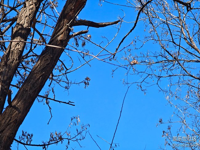 【又是一年冬】+真凍手