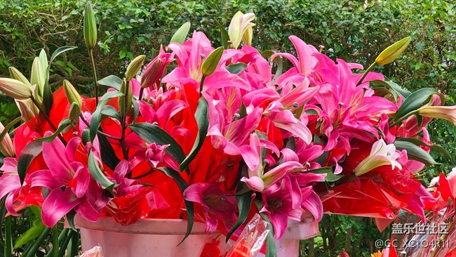 【Galaxy影像】#時光你慢些走+午后停車場