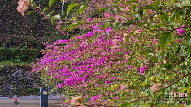 【Galaxy影像】#時光你慢些走+午后停車場