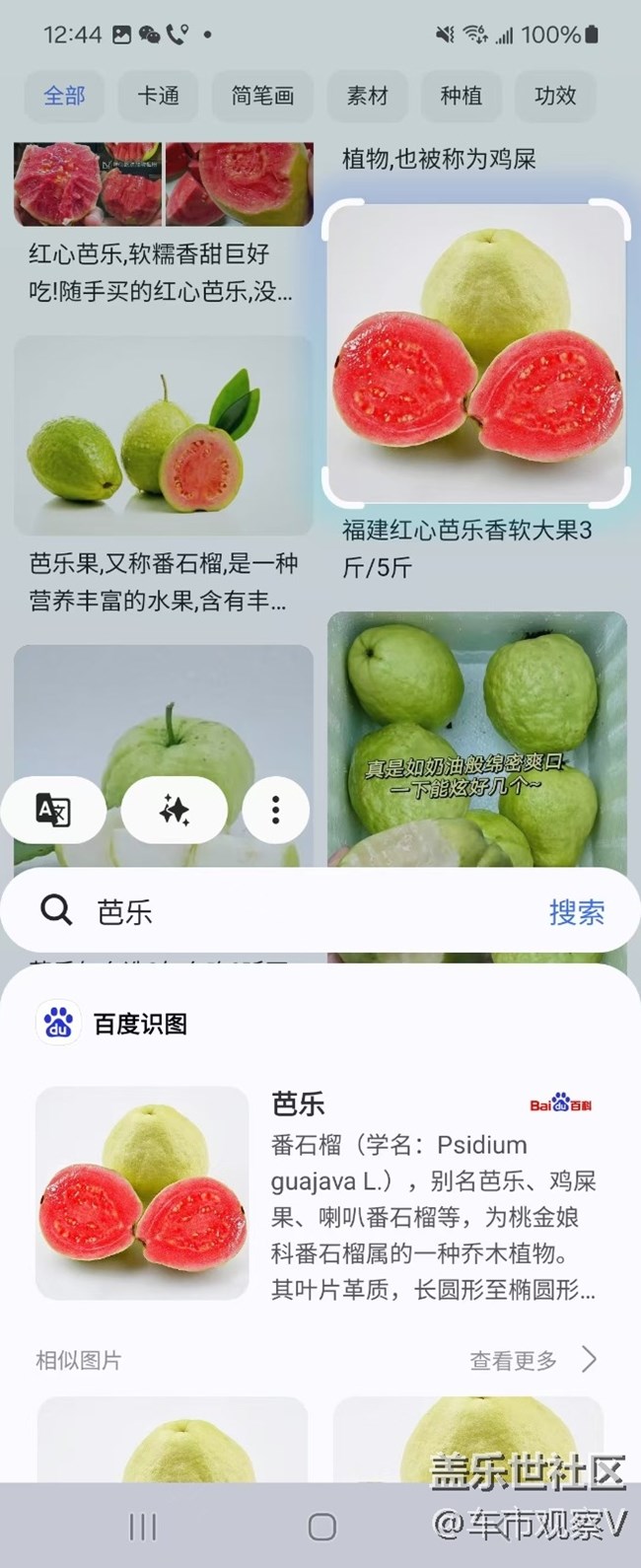 最近發(fā)現(xiàn)了三星手機(jī)的寶藏功能—即圈即搜，簡直是我的貼身小助手～?