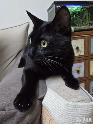 愛你們，??????