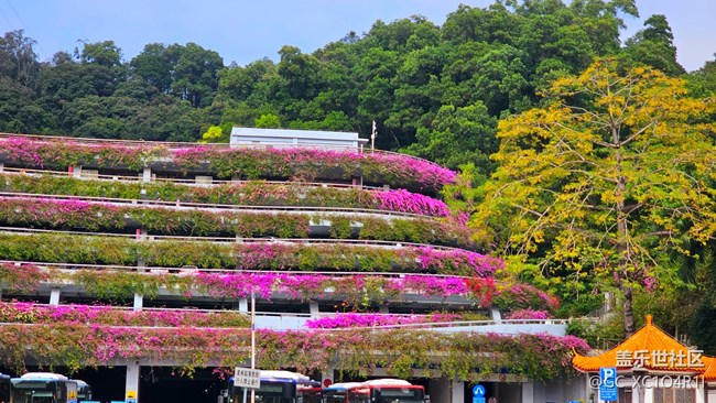 【Galaxy影像】#時光你慢些走+午后停車場