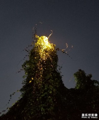 【多元化的世界】精彩紛呈