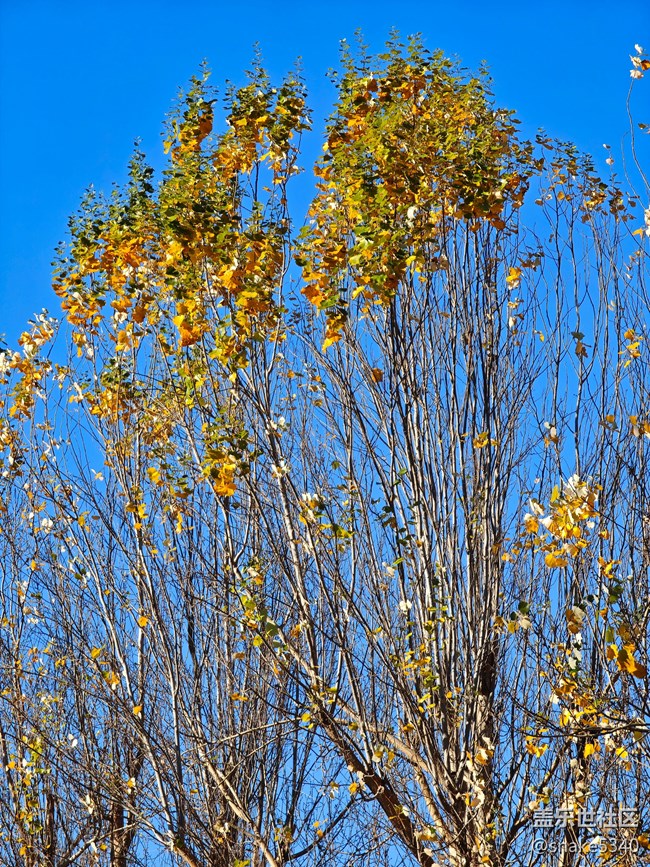 【又是一年冬】+真凍手