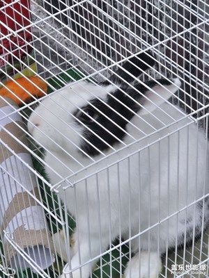 【多元化的世界】+鏡頭下的世界