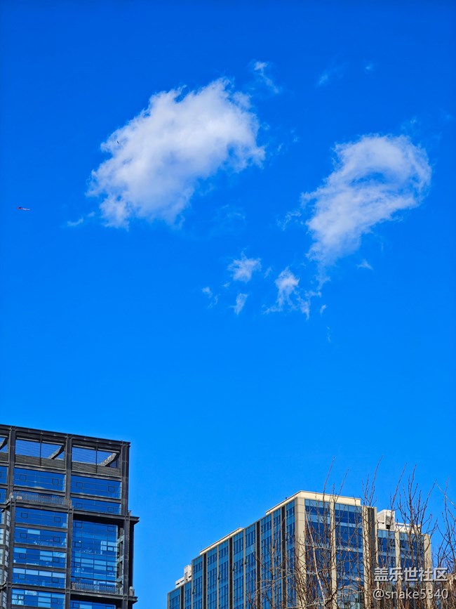 【又是一年冬】+真凍手