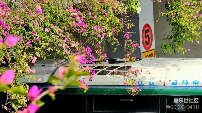 【Galaxy影像】#時光你慢些走+午后停車場