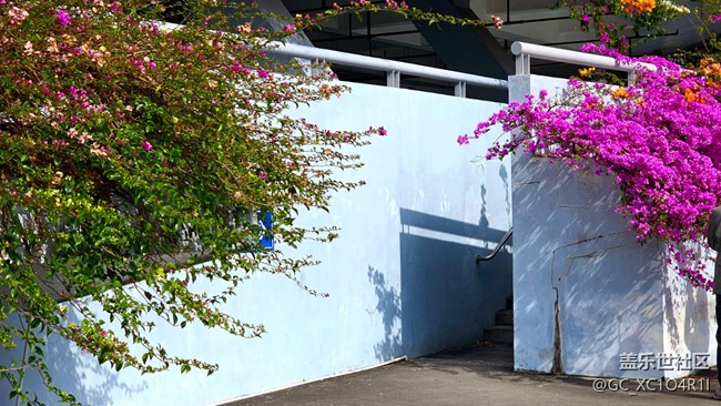 【Galaxy影像】#時光你慢些走+午后停車場