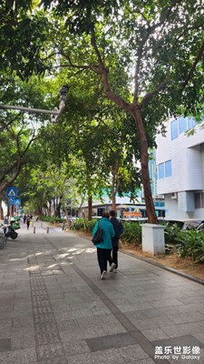 【多元化的世界】+活的自在