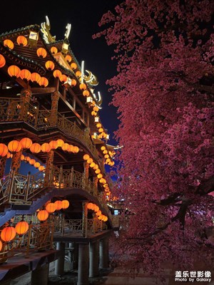 齊唱憲王春樂府，
金梁橋外月如霜。