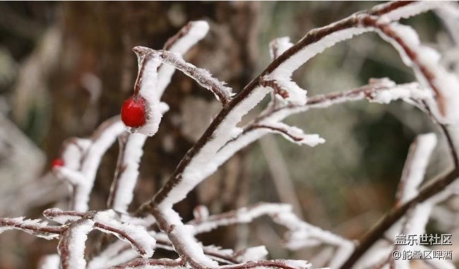 【初冬之美】冰凌