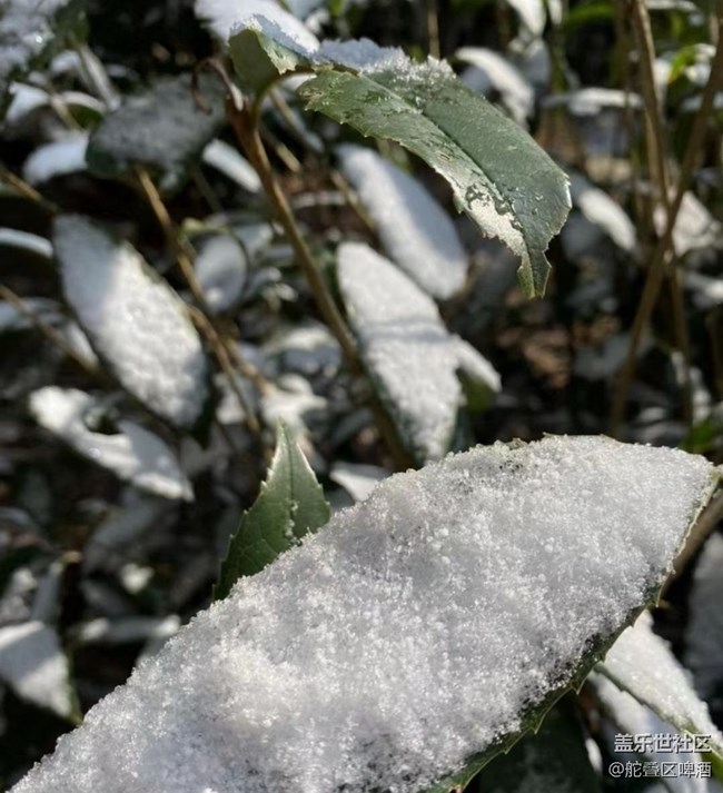 【2024再見(jiàn)】瑞雪兆豐年