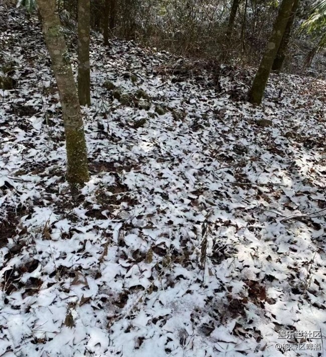 【2024再見(jiàn)】瑞雪兆豐年