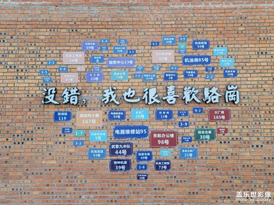 【難忘2024】+游園記憶