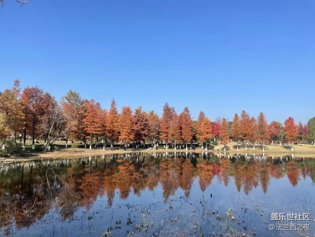【Galaxy影像】#時光你慢些走+自然景色