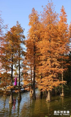 【難忘2024】斑斕多彩好時節(jié)