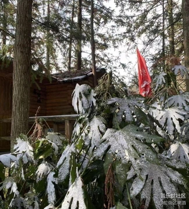 【2024再見(jiàn)】瑞雪兆豐年