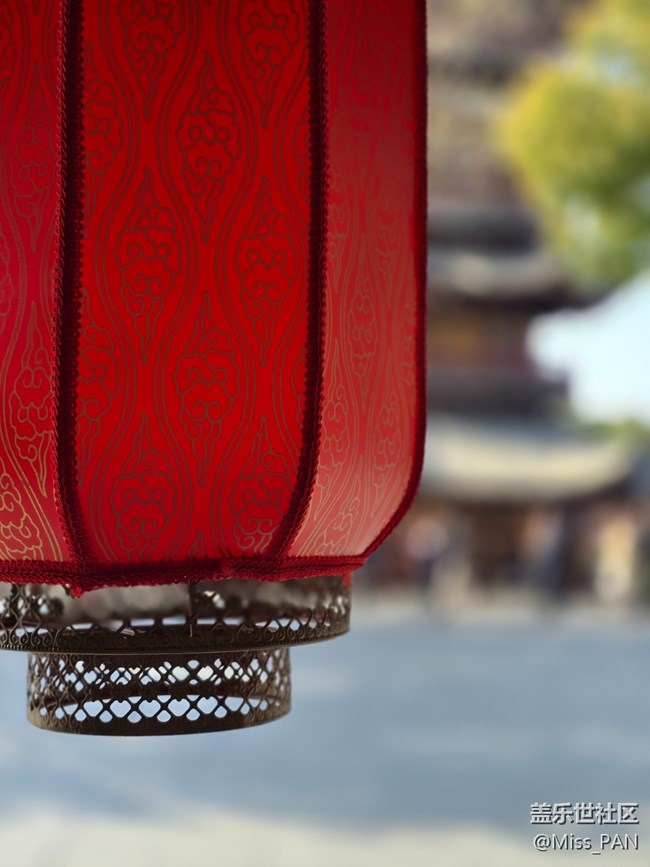 #冬暖熙熙作午晴——燈籠