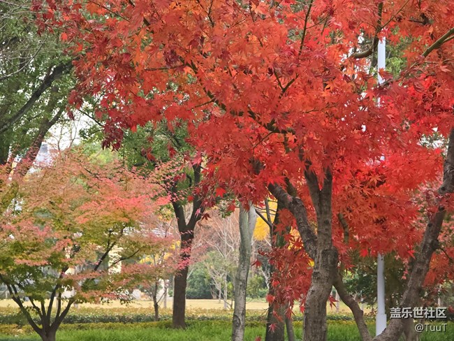 #冬暖熙熙作午晴——綠化