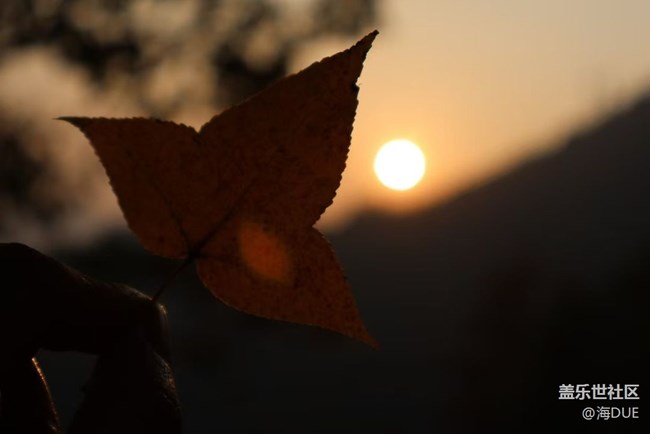 【Galaxy影像】#時光你慢些走+秋冬之季