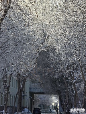 【難忘2024】+難忘的日子