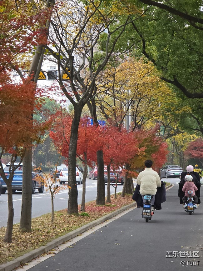 #冬暖熙熙作午晴——綠化