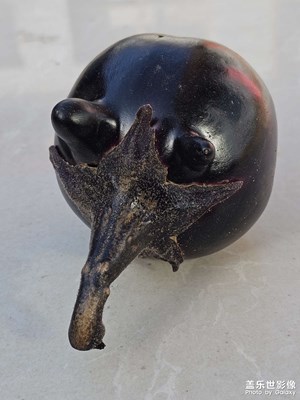 可可愛愛的茄子