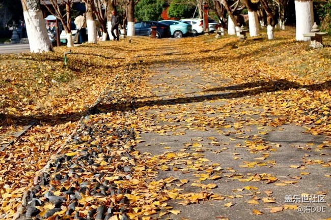 【Galaxy影像】#時光你慢些走+秋冬之季