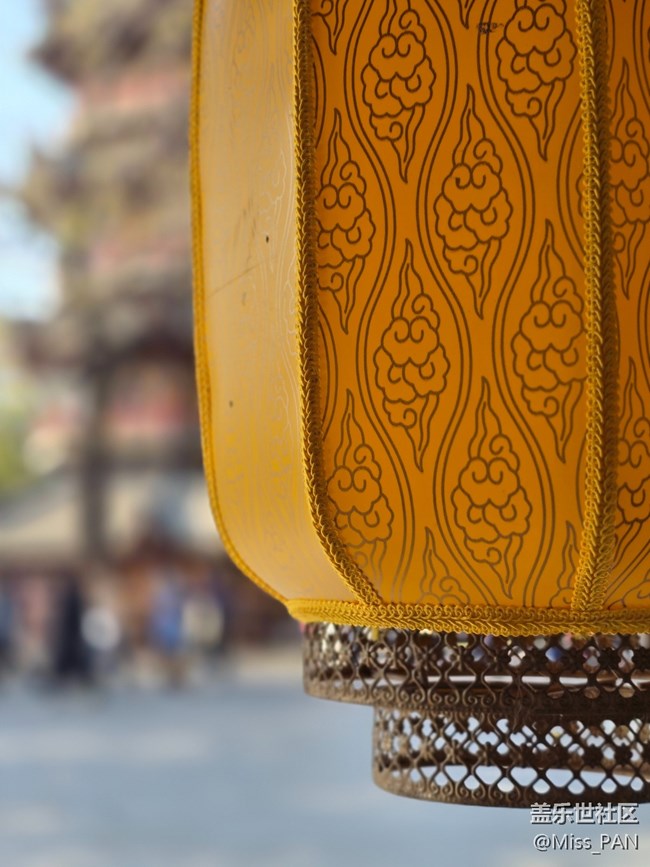 #冬暖熙熙作午晴——燈籠