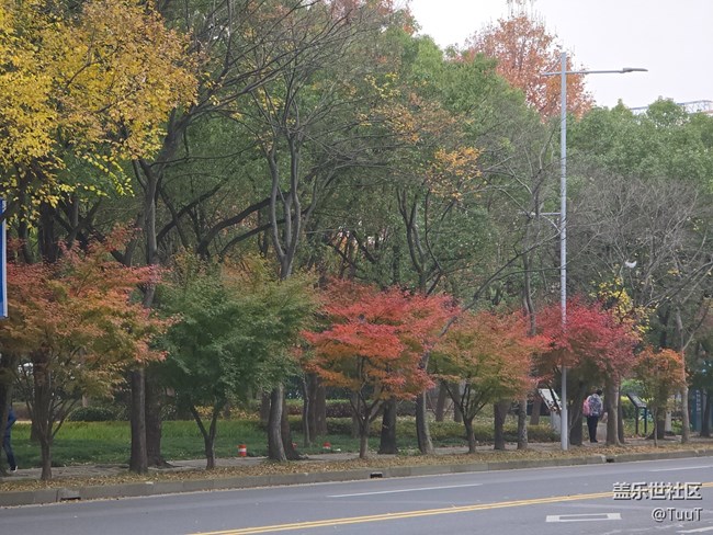 #冬暖熙熙作午晴——綠化