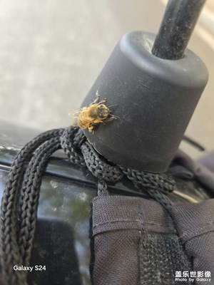 【難忘2024】好記性不如看照片