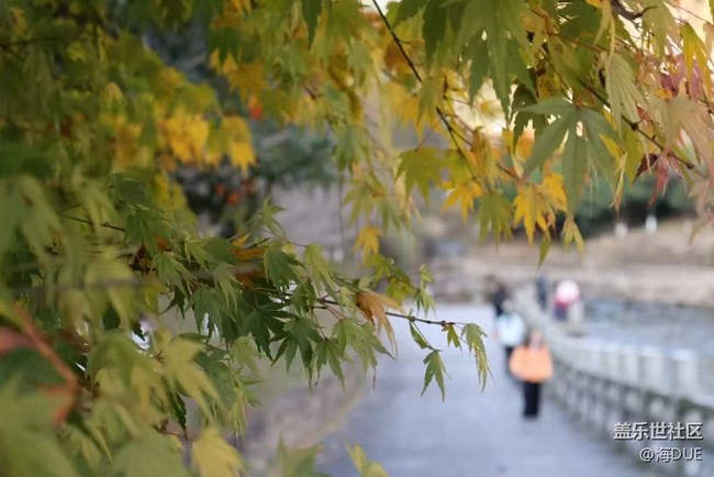 【Galaxy影像】#時光你慢些走+秋冬之季