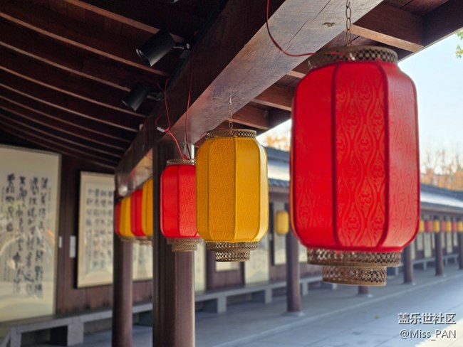 #冬暖熙熙作午晴——燈籠