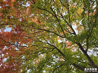 【難忘2024】多彩的季節(jié)