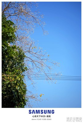 【難忘2024】+冬日暖陽