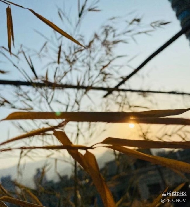 【初冬之美】日出