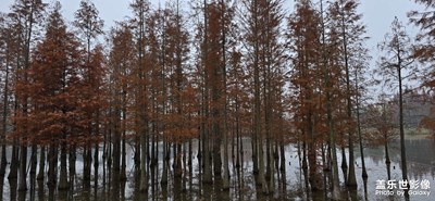 【難忘2024】+不見白鷺的白鷺灣