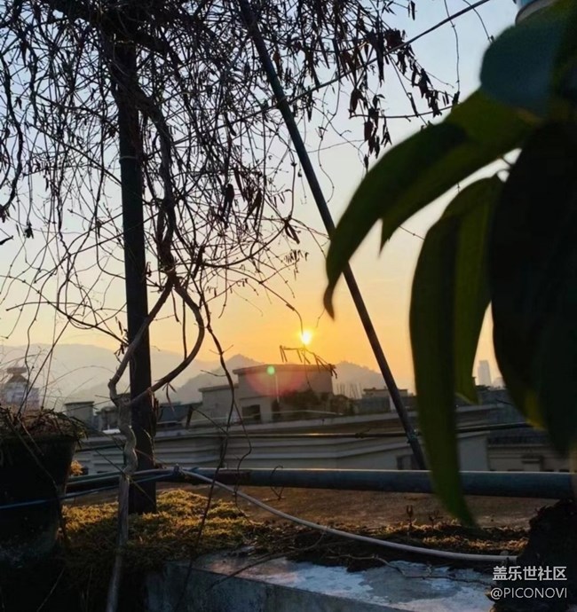 【初冬之美】日出