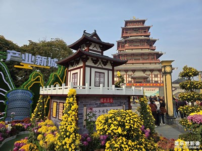 【難忘2024】+一些回憶